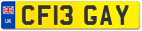CF13 GAY