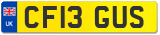 CF13 GUS