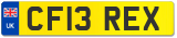 CF13 REX