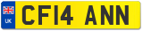 CF14 ANN