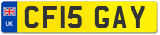 CF15 GAY