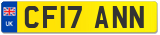 CF17 ANN