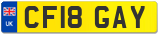 CF18 GAY