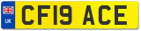 CF19 ACE