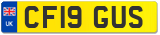 CF19 GUS
