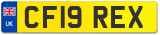 CF19 REX