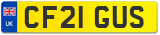 CF21 GUS