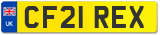 CF21 REX