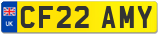 CF22 AMY