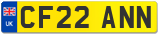 CF22 ANN