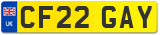 CF22 GAY