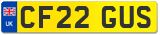 CF22 GUS