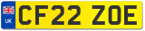 CF22 ZOE