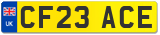 CF23 ACE