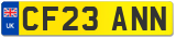 CF23 ANN