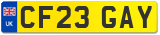 CF23 GAY