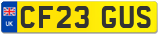 CF23 GUS