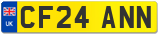 CF24 ANN