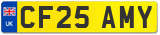 CF25 AMY