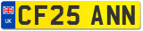 CF25 ANN