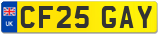 CF25 GAY