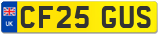 CF25 GUS