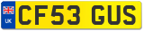 CF53 GUS