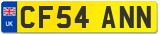 CF54 ANN