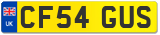 CF54 GUS