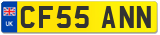 CF55 ANN