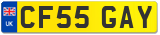 CF55 GAY