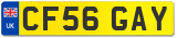 CF56 GAY