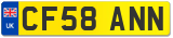 CF58 ANN