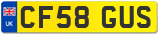 CF58 GUS