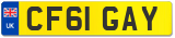 CF61 GAY