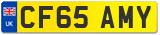 CF65 AMY