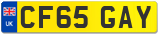 CF65 GAY