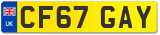CF67 GAY