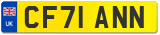 CF71 ANN