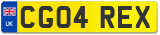CG04 REX