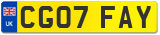 CG07 FAY