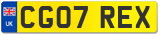 CG07 REX