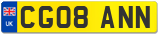 CG08 ANN