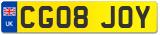 CG08 JOY