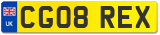 CG08 REX