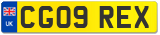 CG09 REX