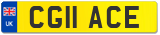 CG11 ACE