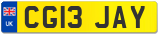 CG13 JAY