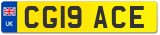 CG19 ACE
