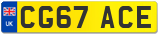 CG67 ACE